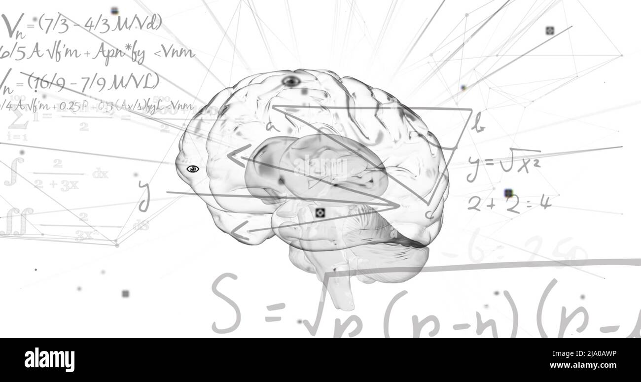 Image du cerveau numérique et des équations mathématiques sur fond blanc Banque D'Images