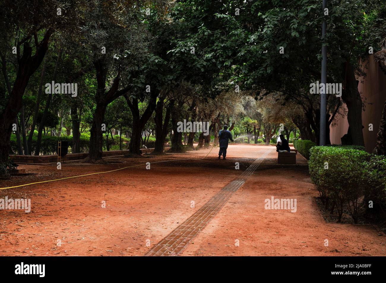 Cyber Park, Marrakech, Maroc. Jardins ornementaux datant du 18th siècle, avec fontaines, végétation luxuriante et allées. Banque D'Images