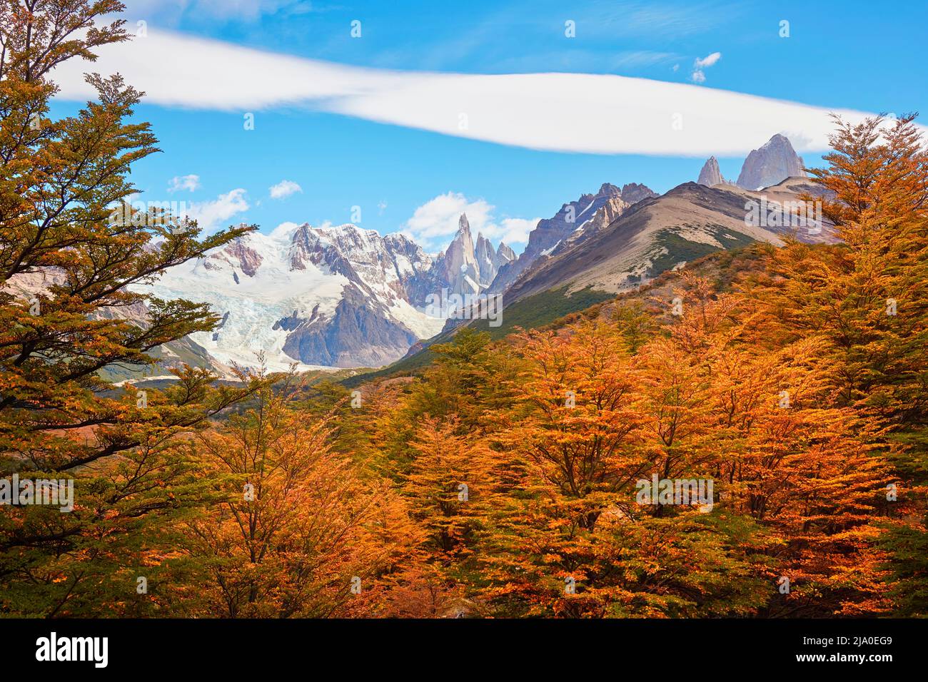 Le paysage de montagne Cerro Torre est entouré par la couleur vive des arbres Lengas en automne, El Chalten, Santa Cruz, Patagonie Argentine. Banque D'Images