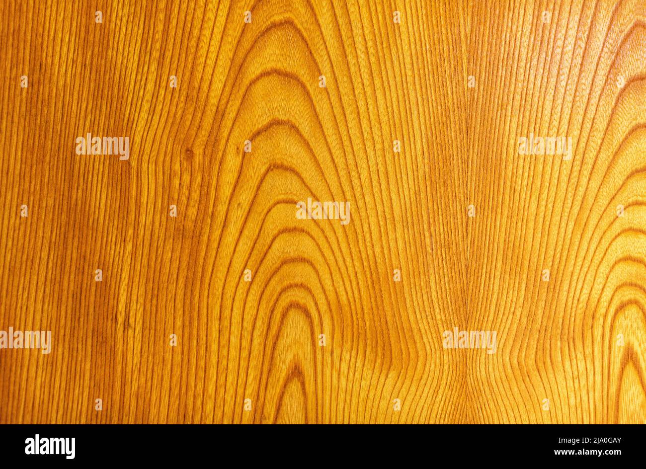 Texture de placage en bois brillant pour l'arrière-plan Banque D'Images