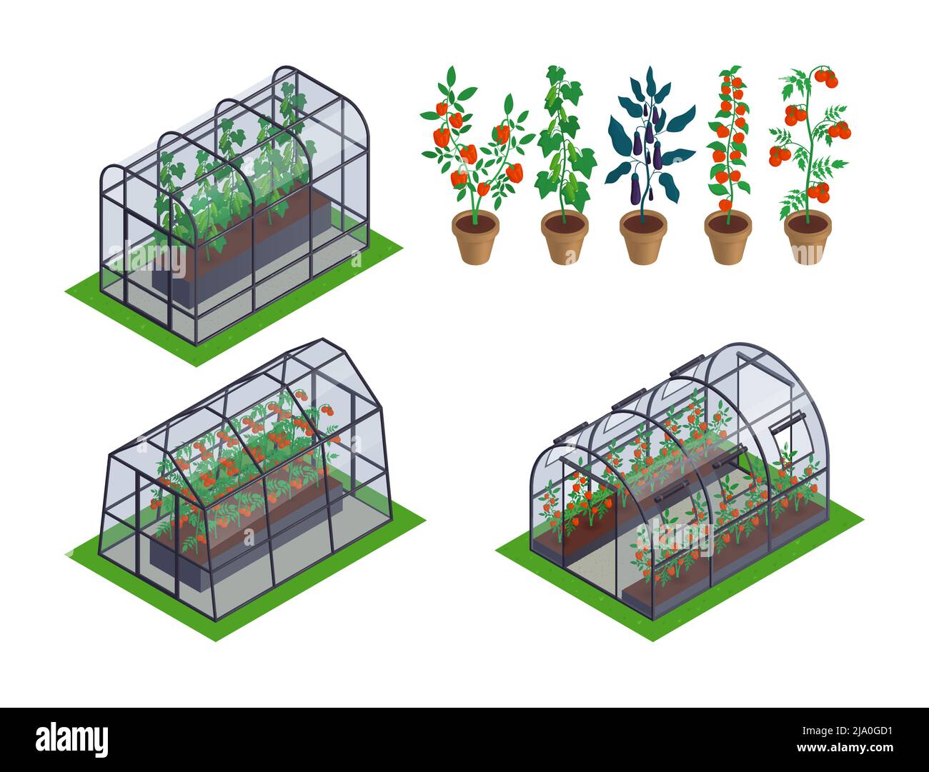 Icône de légumes de serre isométriques ensemble différents types de serres avec différents microclimats à l'intérieur spécifiquement pour les plantes vecteur illustrateur Illustration de Vecteur