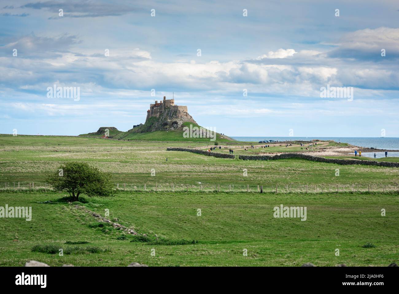 L'île Sainte de Northumberland, vue des gens qui marchent vers le château du 16th siècle situé sur l'île Sainte (île de Lindisfarne), Northumberland, Angleterre Banque D'Images