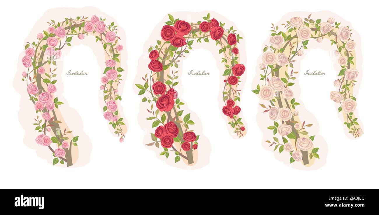 Un ensemble de beaux cadres avec de belles roses Illustration de Vecteur