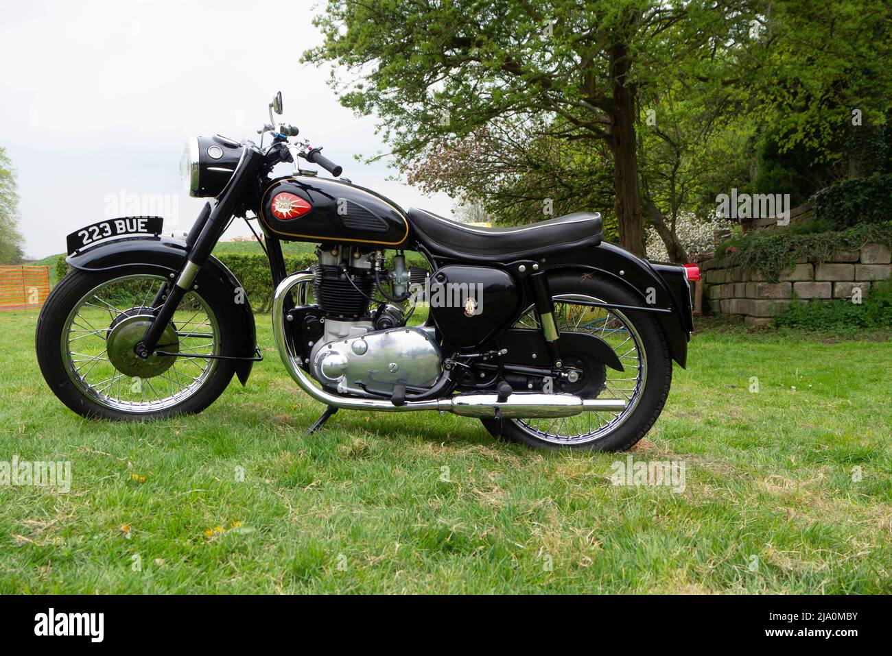 BSA Classic Motorcycle dans un champ vert herbacé Banque D'Images