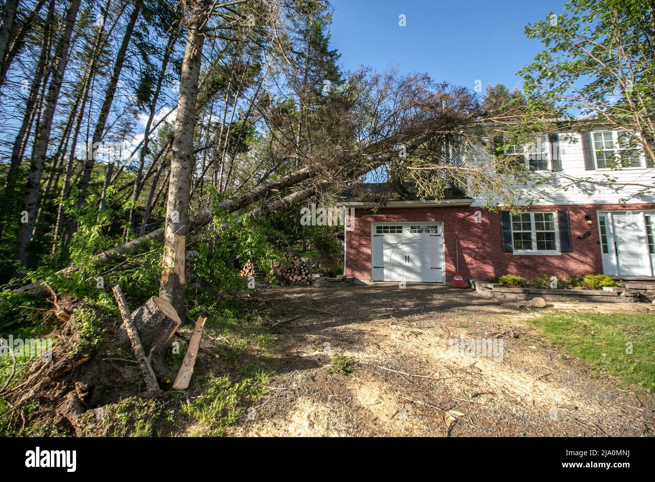 Destruction laissée derrière après la tempête de vent. Banque D'Images