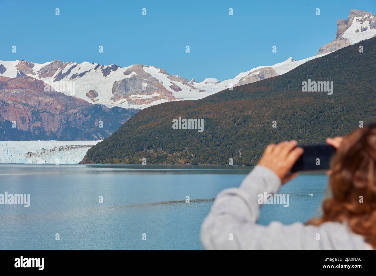 Un touriste prenant des photos du glacier Spegazzini avec un smartphone, parc national Los Glaciares, Argentine. Banque D'Images