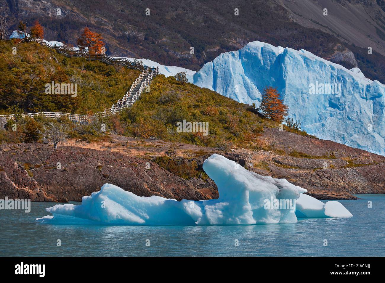Argentine Au Parc National Los Glaciares Banque De Photographies Et D argentine-au-parc-national-los-glaciares-banque-de-photographies-et-d