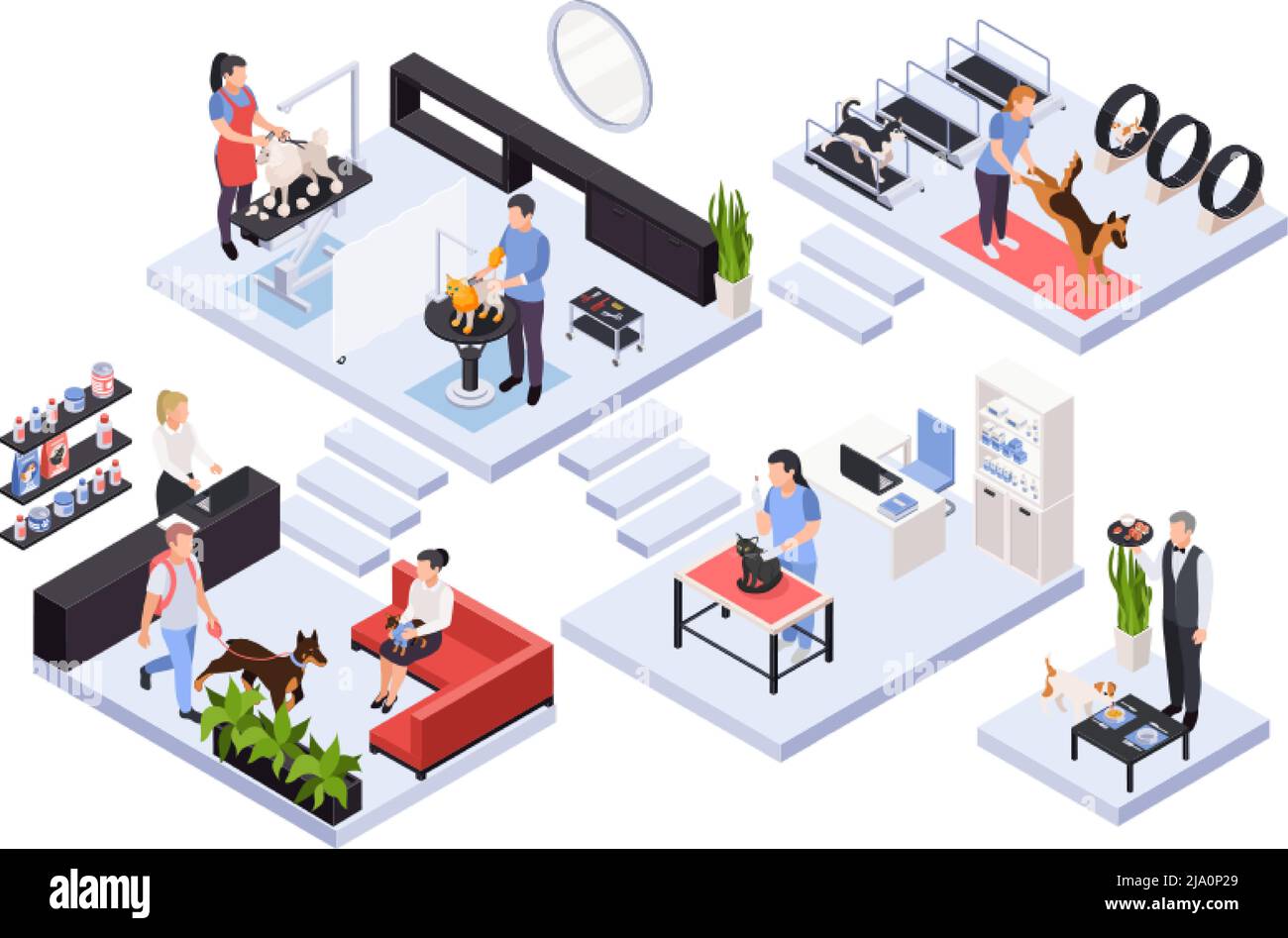 Composition isométrique avec divers services pour animaux de compagnie et des spécialistes vétérinaire groomer trainer illustration de vecteur 3d Illustration de Vecteur