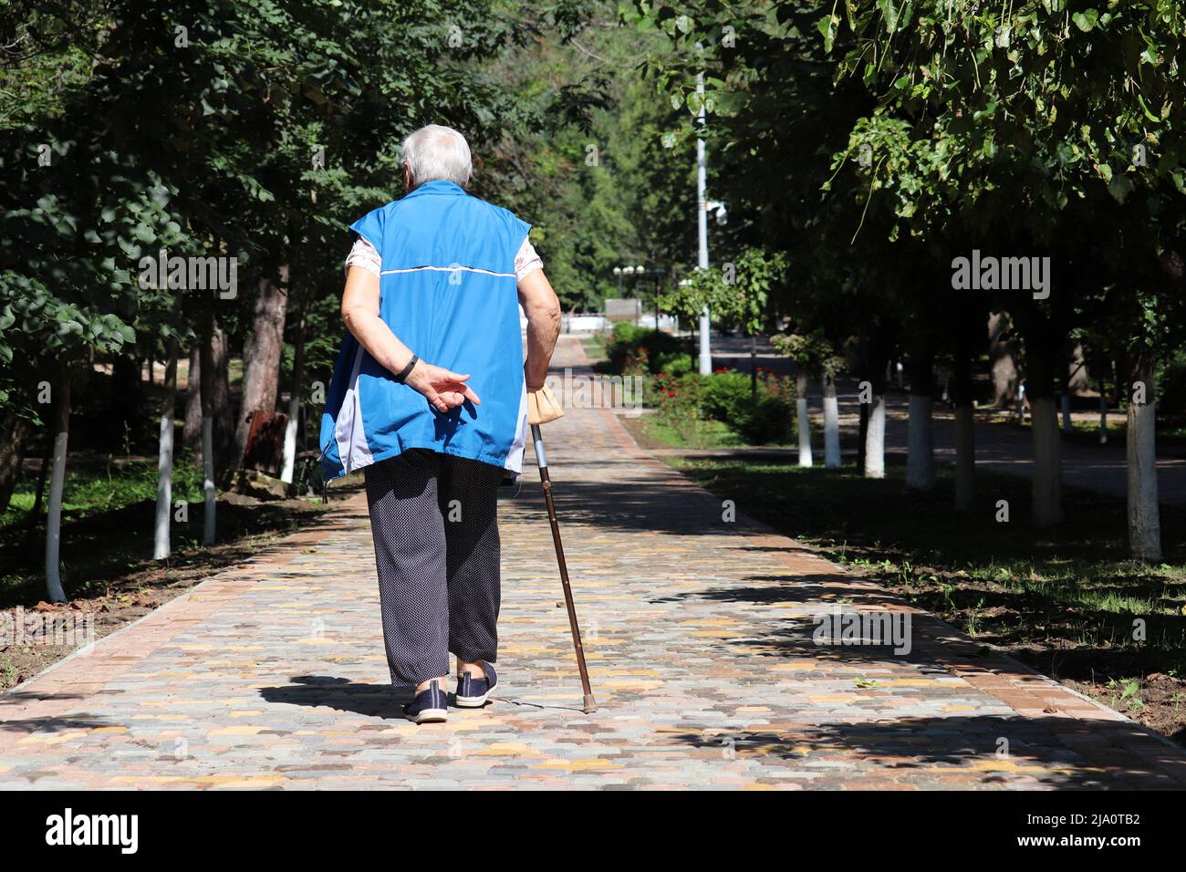 Vieille femme marchant avec une canne dans une rue du parc de la ville. La personne qui s'agine, les maladies de la colonne vertébrale, les personnes âgées Banque D'Images