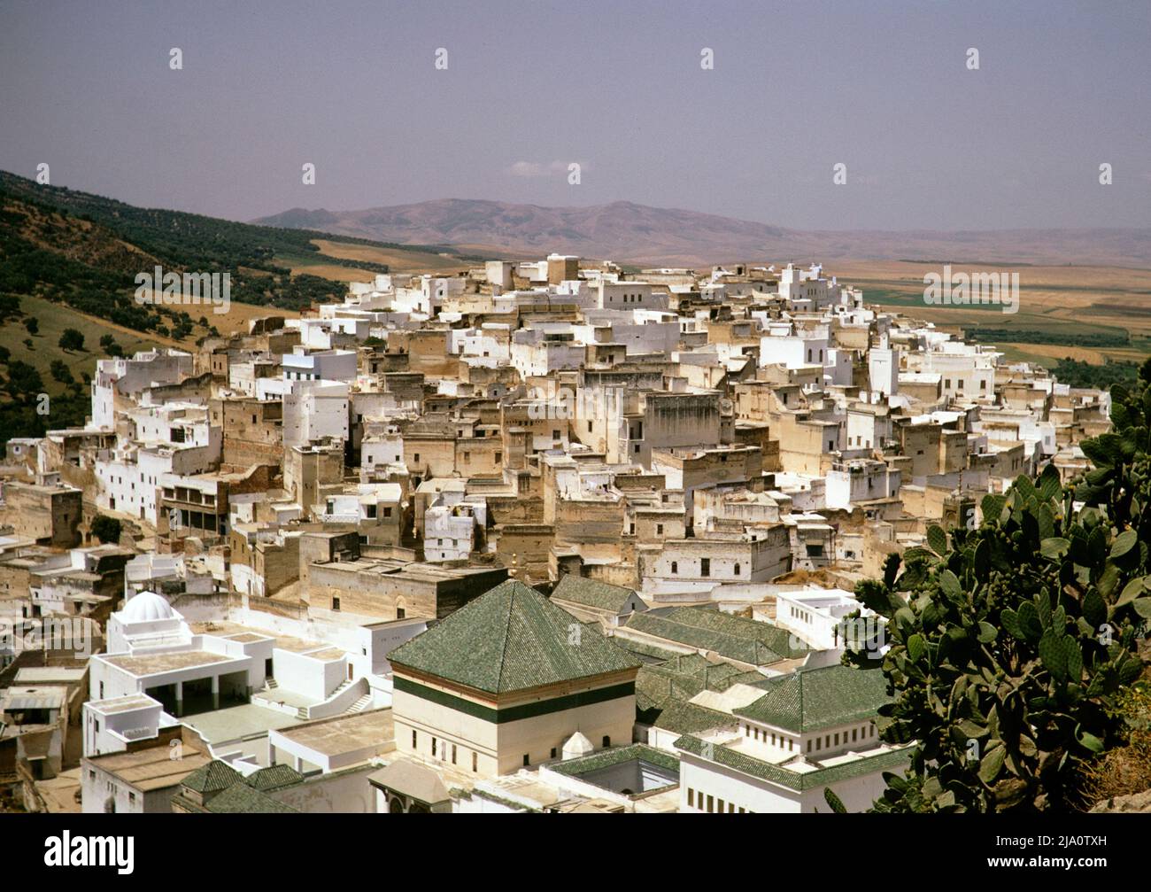 Moulay Idriss Zerhoun, Maroc, Afrique du Nord, 1971 Banque D'Images