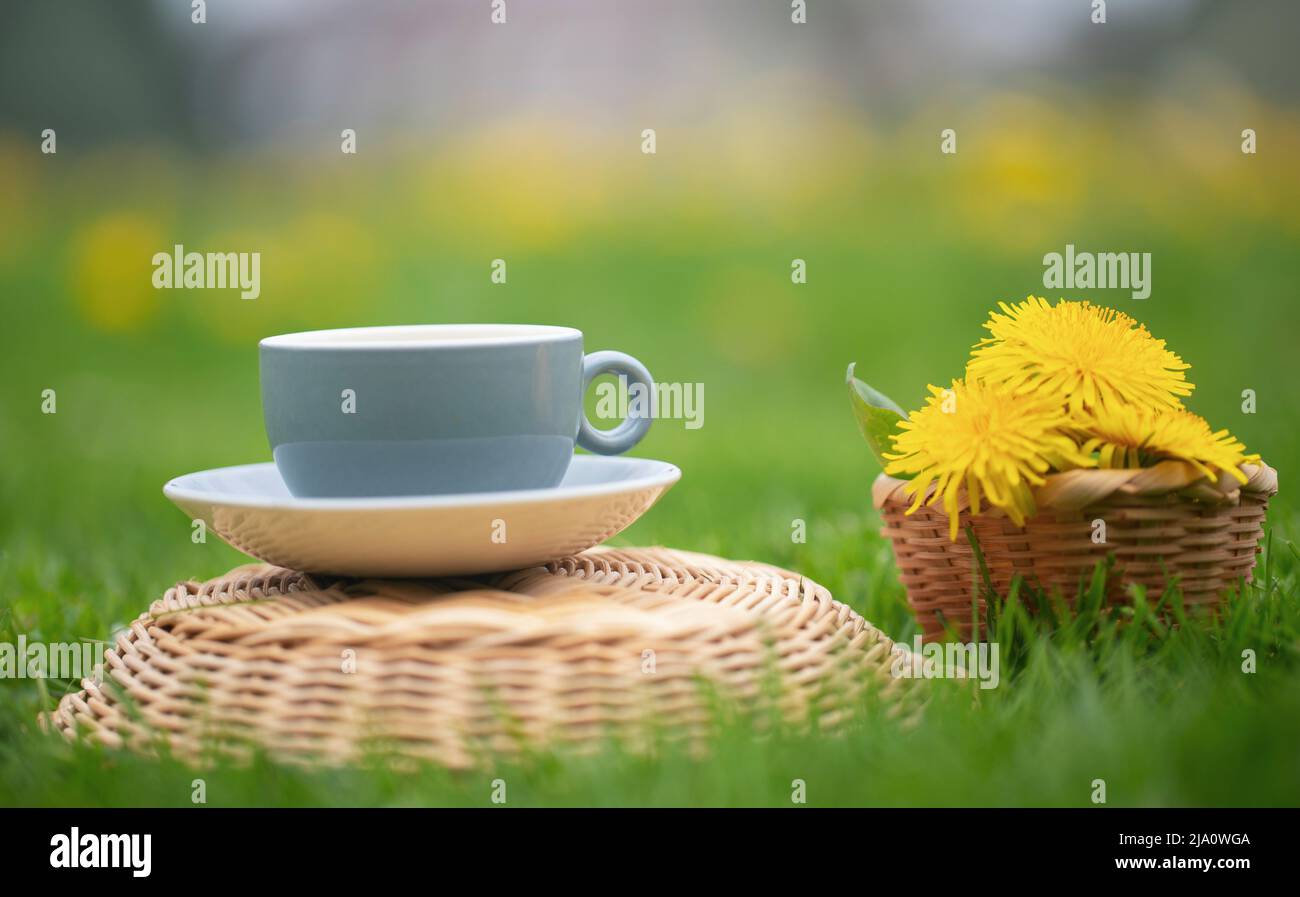 Thé Dandélion aux herbes dans le jardin fleuri Banque D'Images