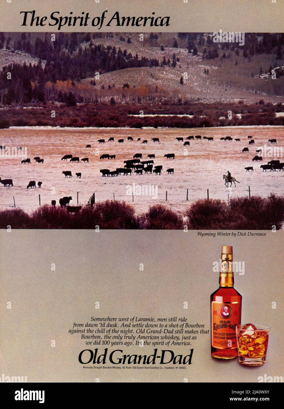 Vintage Mai 1986 'Playboy' Magazine annonce, Etats-Unis Banque D'Images