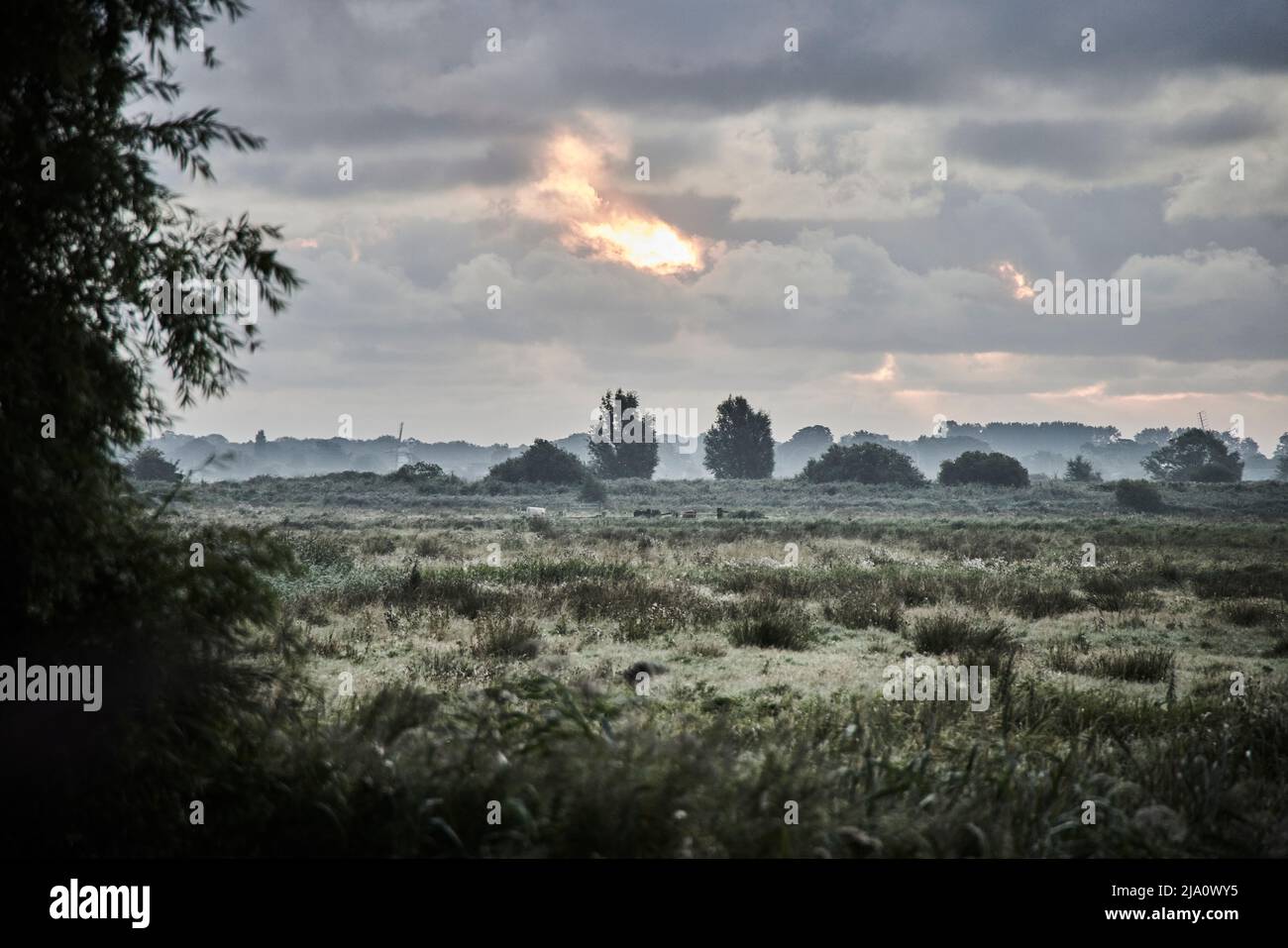 VUES SUR NORFOLK BROADS Banque D'Images