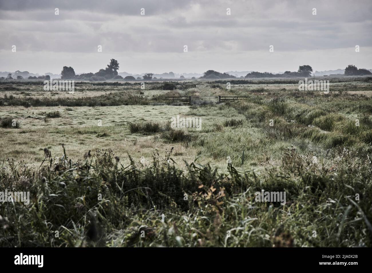 VUES SUR NORFOLK BROADS Banque D'Images