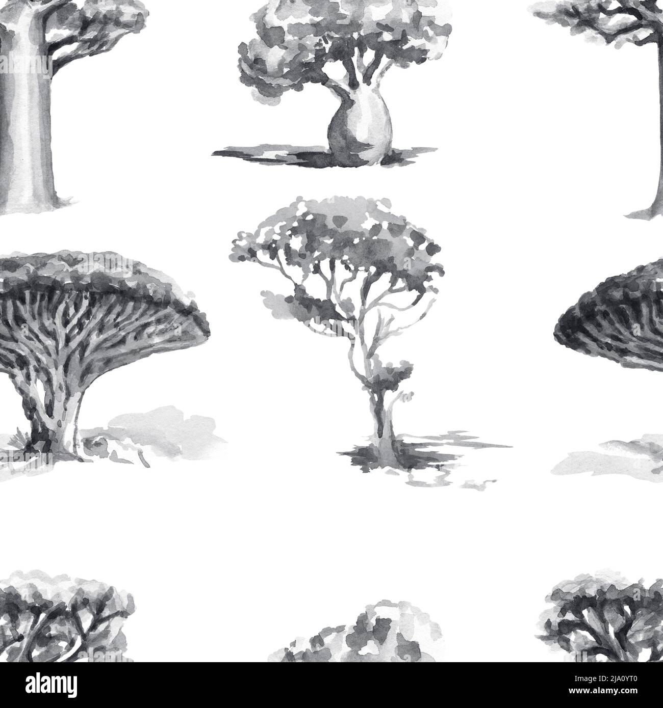 Arbres plantes forêt australie nature sauvage aquarelle illustration élément isolé dessiné à la main sur fond blanc mignons bébé images Banque D'Images
