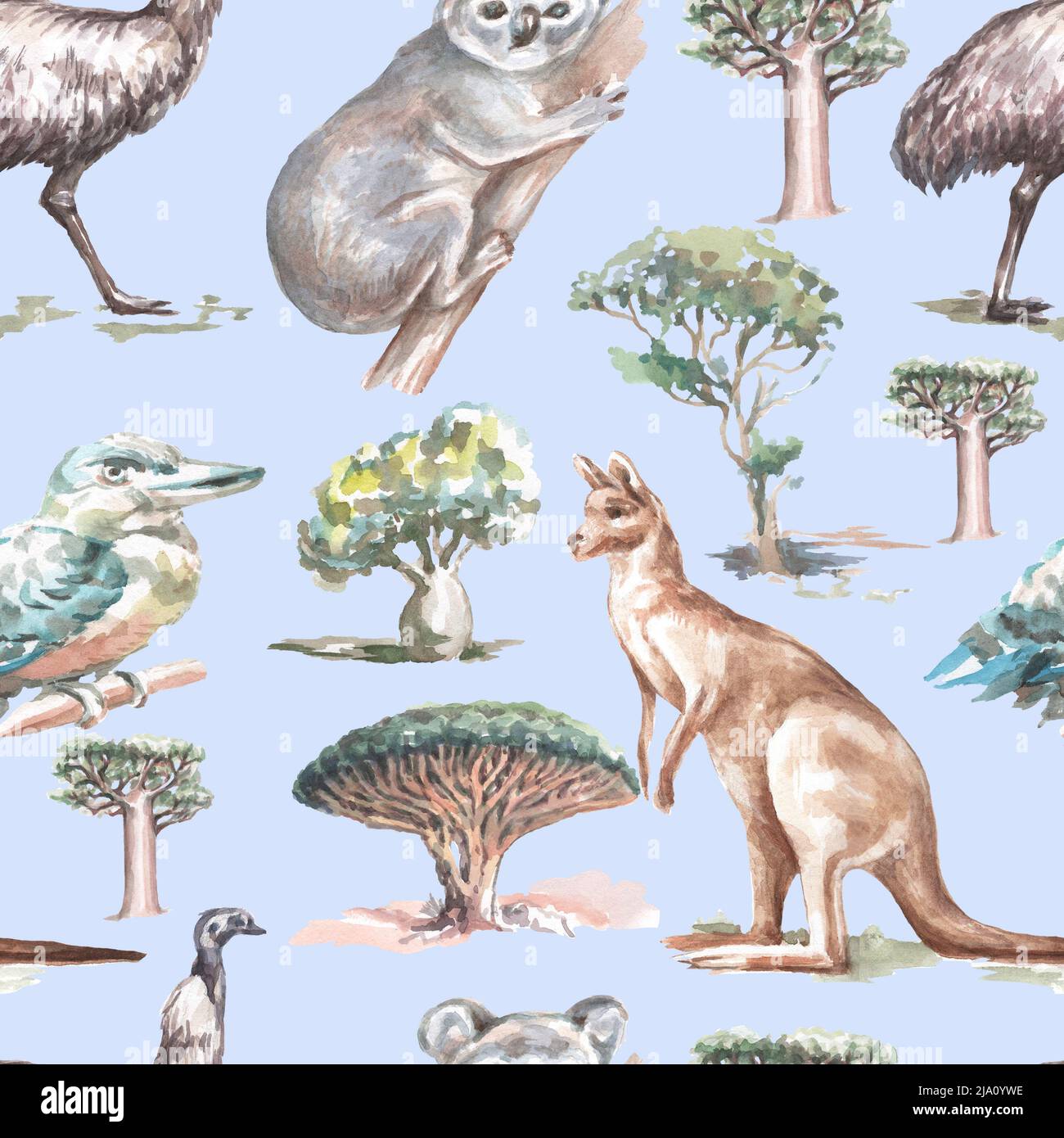 Animaux Australie illustration graphique dessin à la main koala ostrich emu isolé sur fond blanc ensemble Banque D'Images
