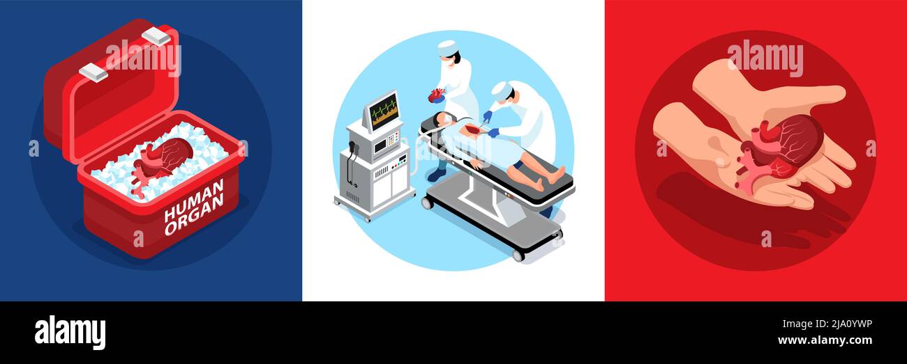 Concept de conception d'organes humains donneurs isométriques avec compositions rondes de coeur humain dans un récipient avec illustration de vecteur chirurgical Illustration de Vecteur