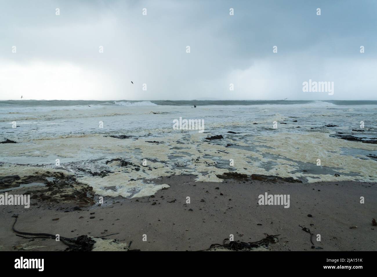 hiver gris tempête jour à la plage ou la côte avec la mer se lavant sur le sable et gris moody nuages dans le concept de fond temps et climat Banque D'Images