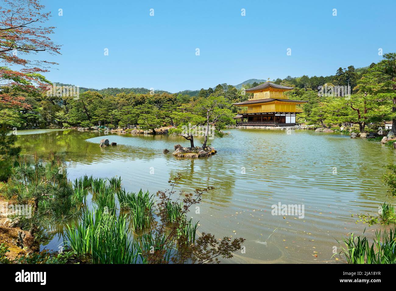 Japon. Kyoto. Temple Kinkaku-ji (le Pavillon d'or) Banque D'Images