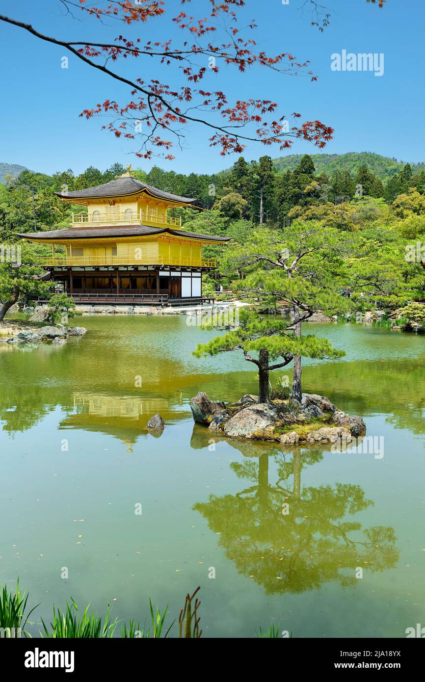 Japon. Kyoto. Temple Kinkaku-ji (le Pavillon d'or) Banque D'Images