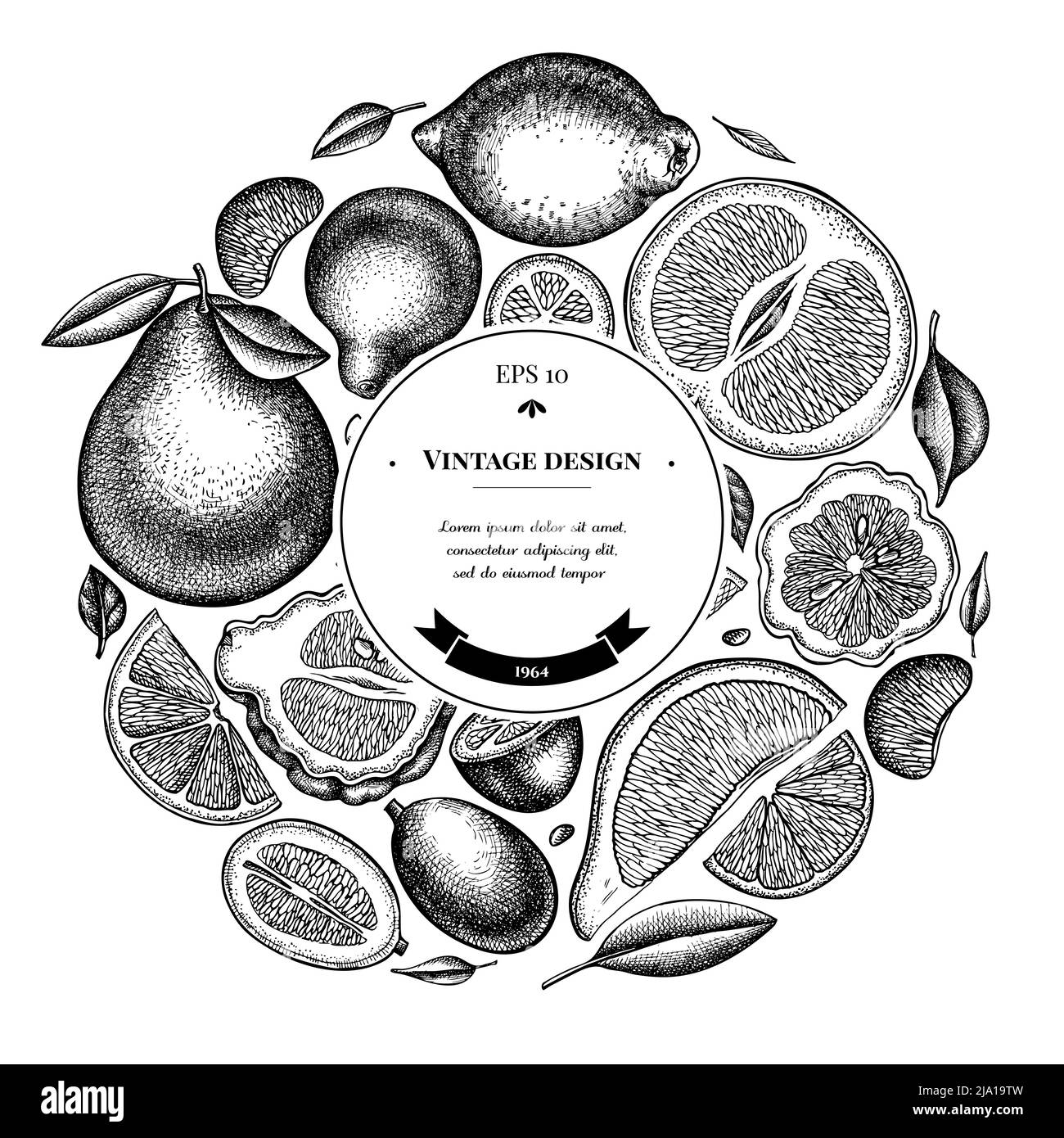 Motif couronne aux agrumes. Kumquat dessiné à la main, citron, tangelo etc Illustration de Vecteur