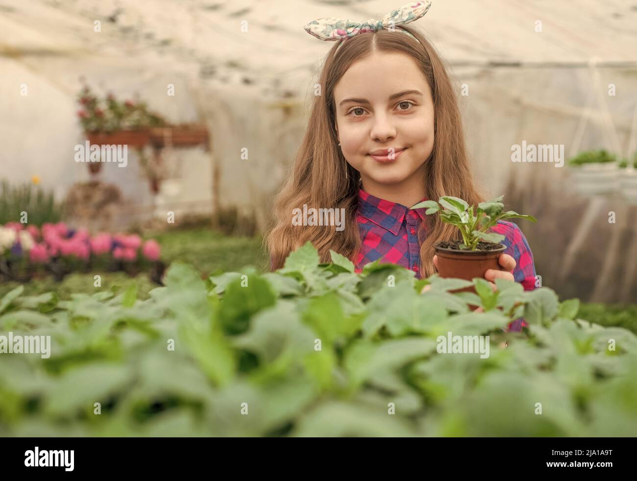 bonne adolescente fleuriste plante pot plantes en serre, horticulture Banque D'Images