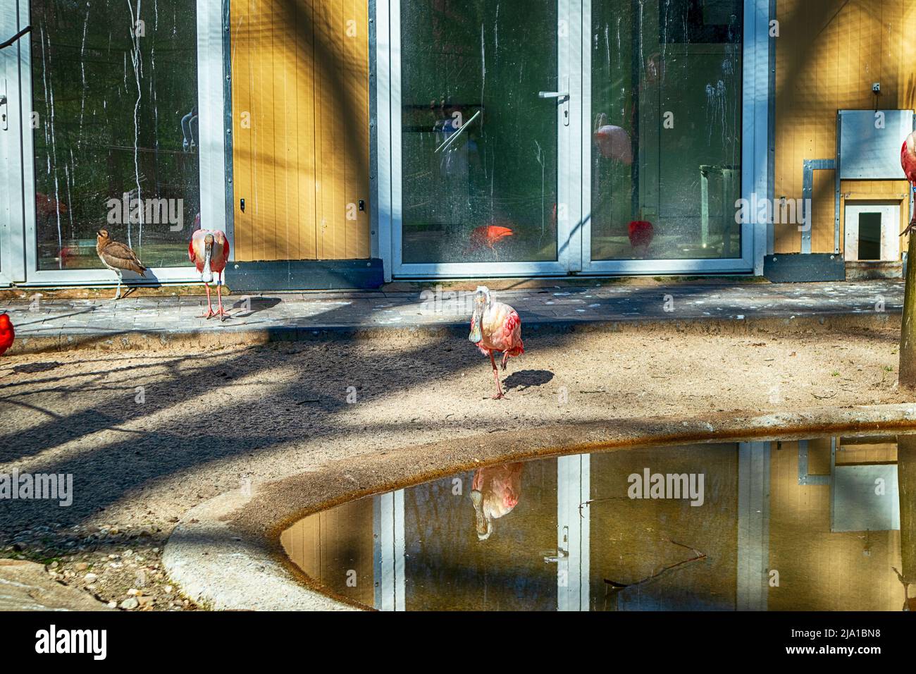 Zoo de Dortmund, Rhénanie-du-Nord-Westfalia, Allemagne Banque D'Images