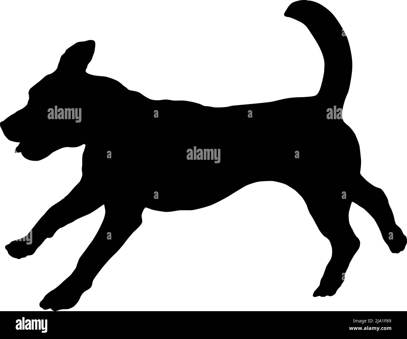Courir et sauter beagle anglais chiot. Silhouette de chien noire. Animaux de compagnie. Isolé sur un fond blanc. Illustration vectorielle. Illustration de Vecteur Courir et sauter beagle anglais chiot. Silhouette de chien noire. Animaux de compagnie. Isolé sur un fond blanc. Illustration vectorielle. Illustration de Vecteur