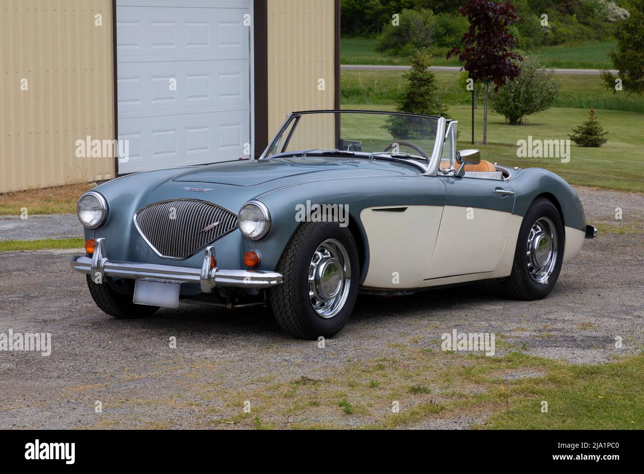 1956 Austin Healey 100 sur la chaussée. Banque D'Images