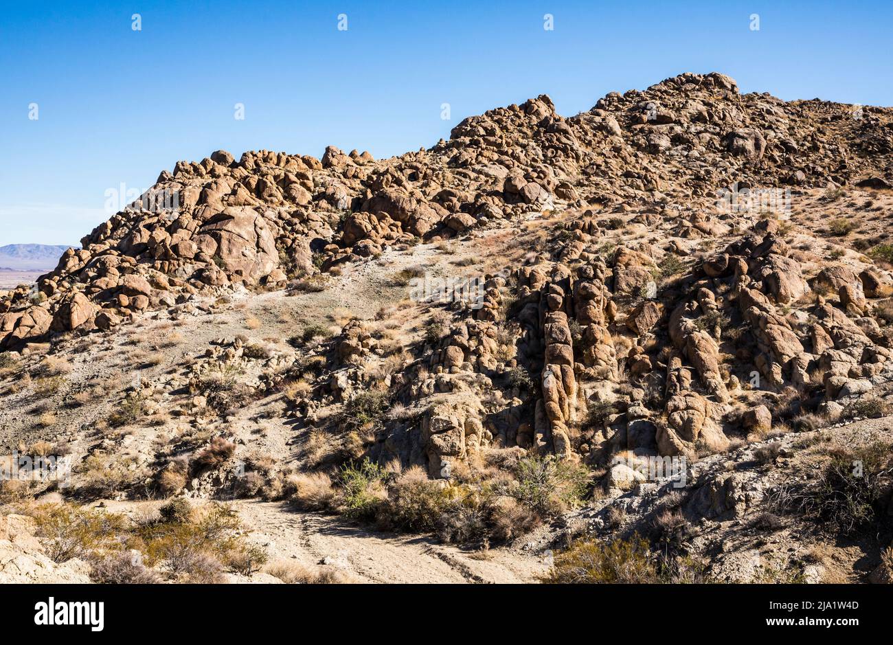 Le paysage le long du début de la 49 Palms Oasis Trail, Joshua Tree National Park. Banque D'Images