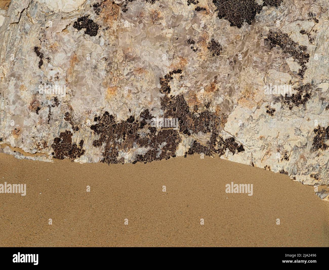 Macro, cristaux de calcite, désert blanc, près de l'oasis de Bahariya, Égypte Banque D'Images