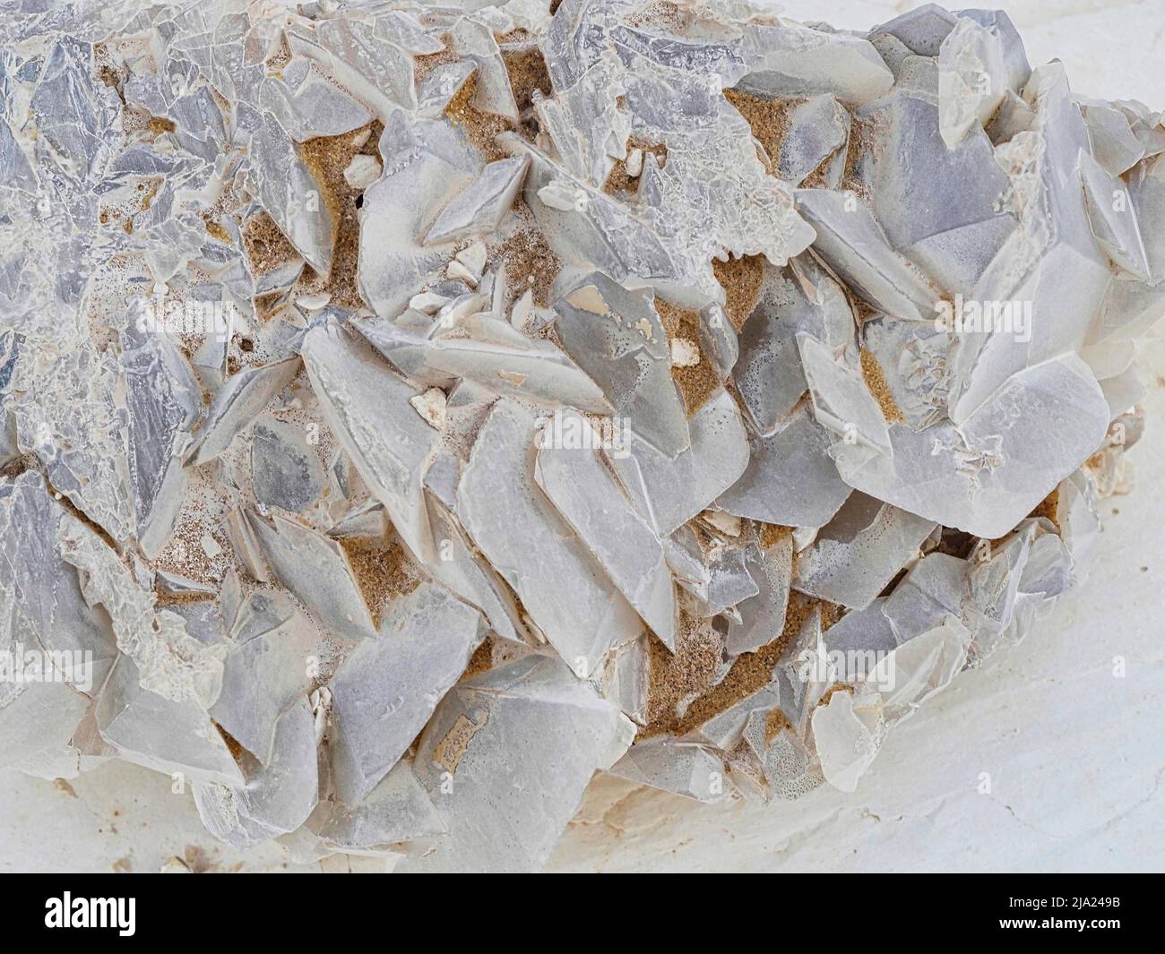 Macro, cristaux de calcite, désert blanc, près de l'oasis de Bahariya, Égypte Banque D'Images