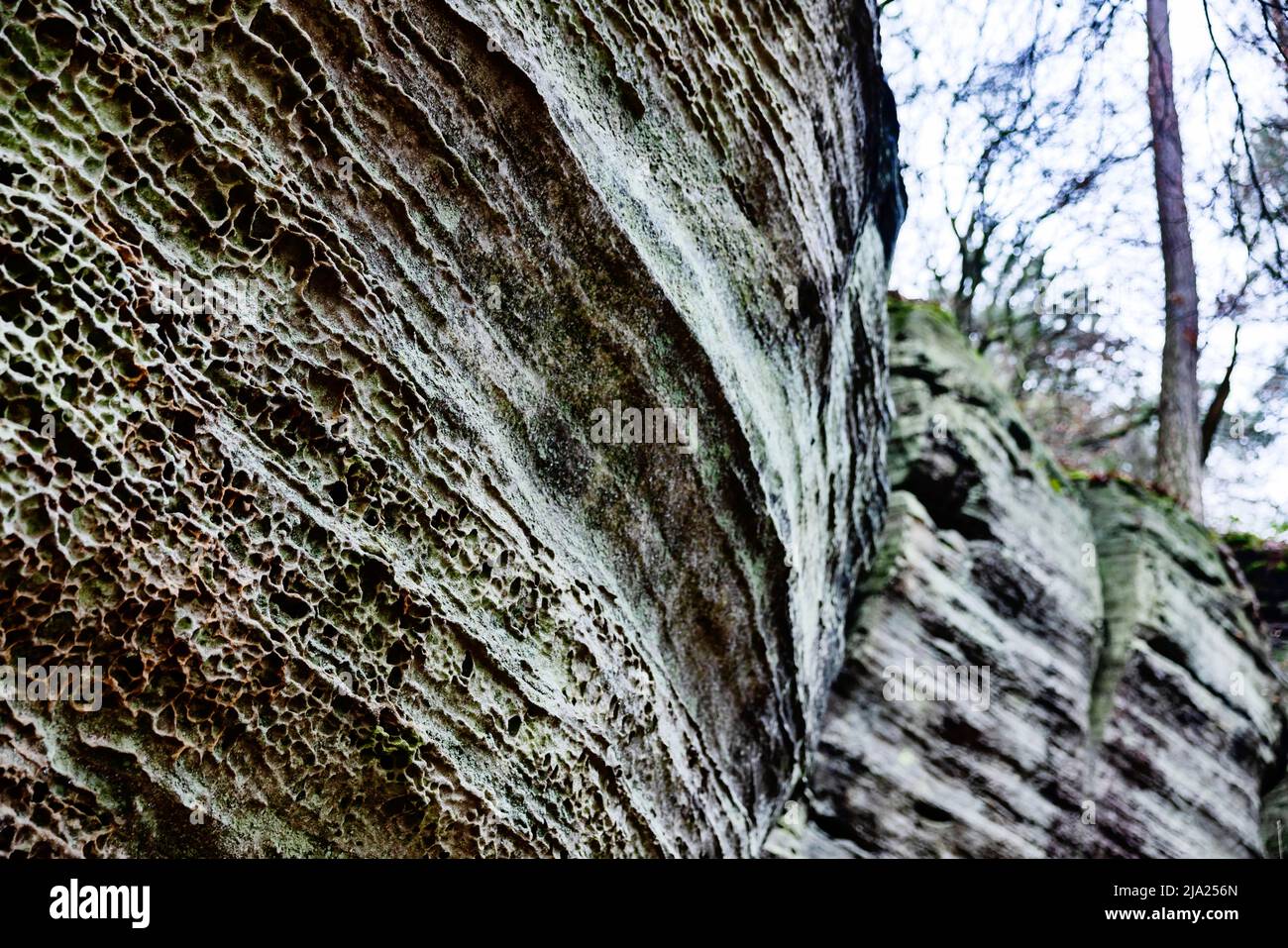 Paysage rocheux bizarre, Mullerthal ou Mullerthal, petit Luxembourg Suisse, Parc naturel allemand-luxembourgeois, Grand-Duché de Luxembourg Banque D'Images