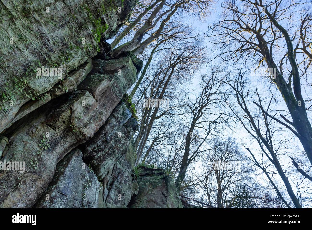 Paysage rocheux bizarre, Mullerthal ou Mullerthal, petit Luxembourg Suisse, Parc naturel allemand-luxembourgeois, Grand-Duché de Luxembourg Banque D'Images