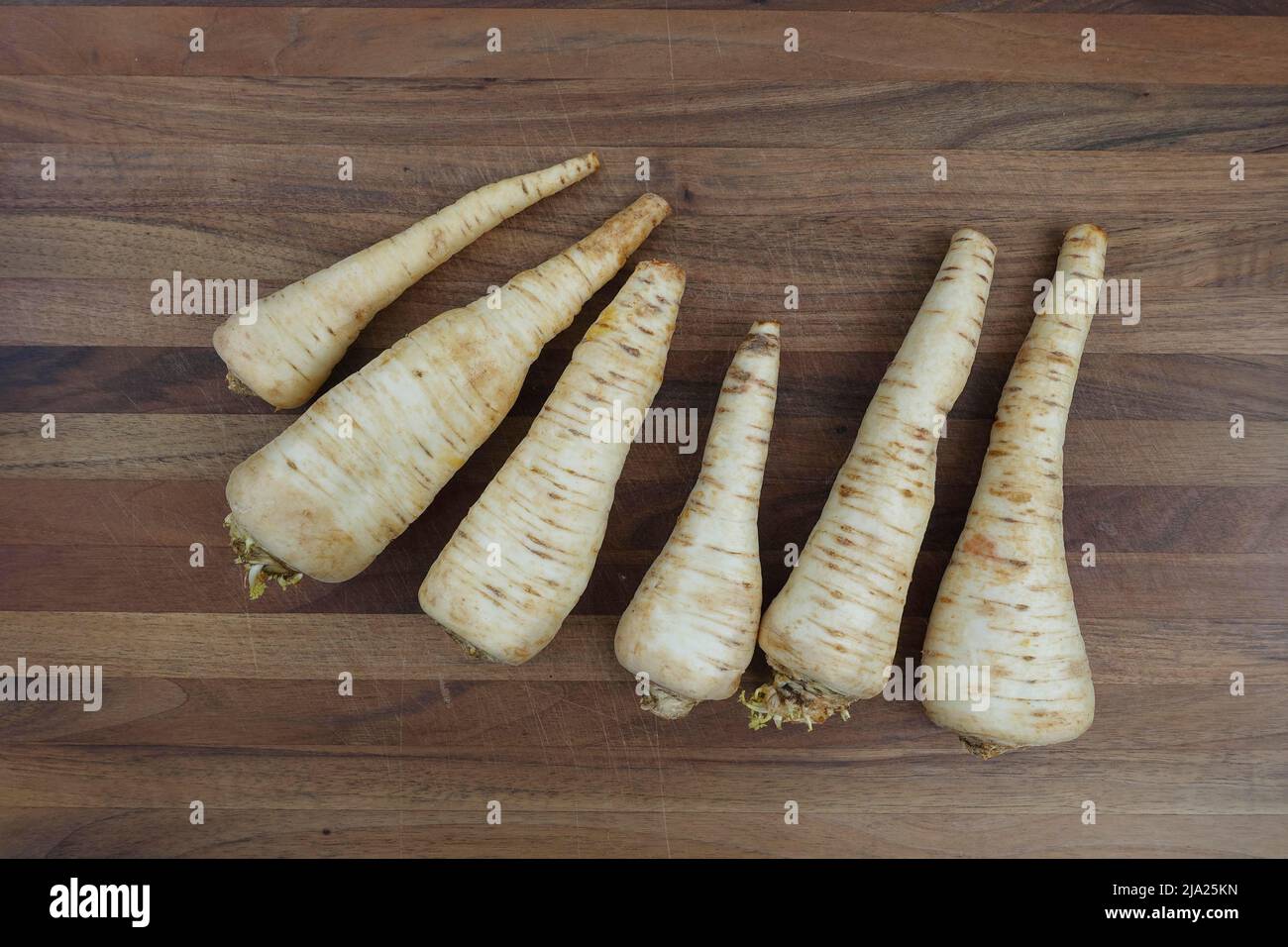 Cuisine souabe, préparation racine de persil (Petroselinum crispum subsp. Tuberosum) sur bois, légumes d'hiver, cuisine traditionnelle Banque D'Images