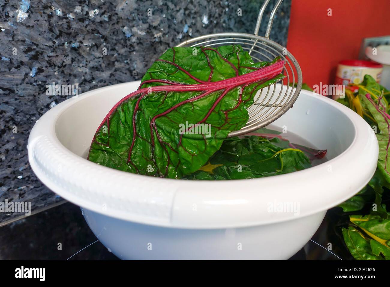 Cuisine souabe, préparation des grenouilles à feuilles de Bietigheim dans la sauce paprika, remplissage des feuilles de bard, remplissage des légumes, grattoir de pâte, cuisine traditionnelle Banque D'Images