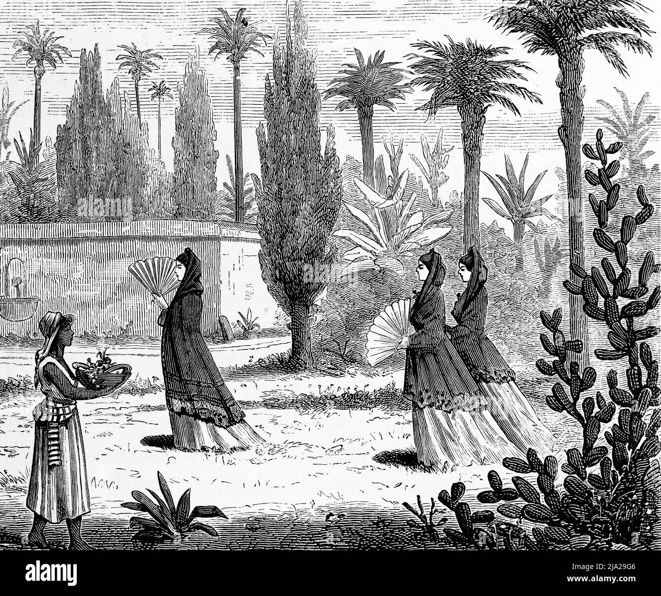Trois femmes distinguées, vendeuse, marche, jardin, palmiers, Cactus, ventilateur, mur, illustration historique 1881, Mexique Banque D'Images