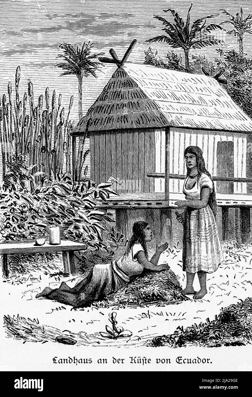 Deux femmes, agriculture, maison de campagne, toit de chaume, récolte, palmiers, table, parlant, couché, debout, travail, pieds nus, historique Banque D'Images