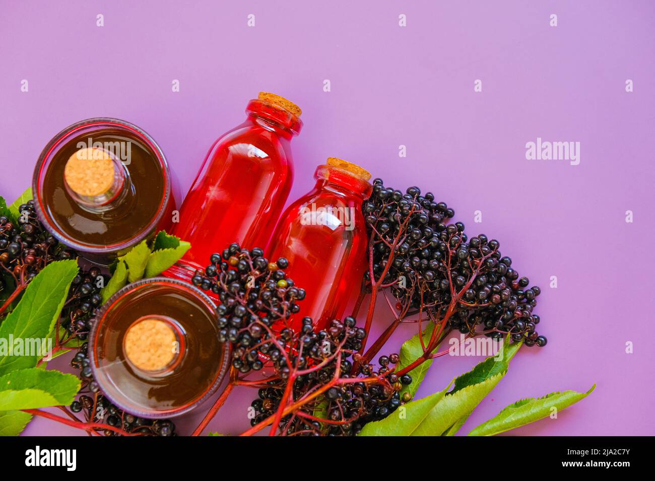 Sirop de sureau. Baies de Sambucus. Récolte de sureau. Sirop de Sambucus. Sirop en bouteille et petits pains de sureau sur fond violet. Banque D'Images