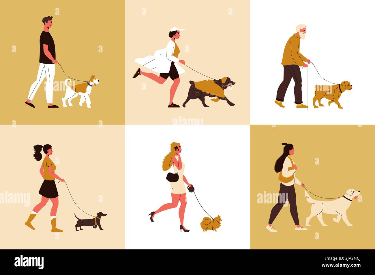 Chien races Flat design concept avec les gens marchant labrador bulldog dachshund spitz terrier et aussie isolé illustration vectorielle Illustration de Vecteur