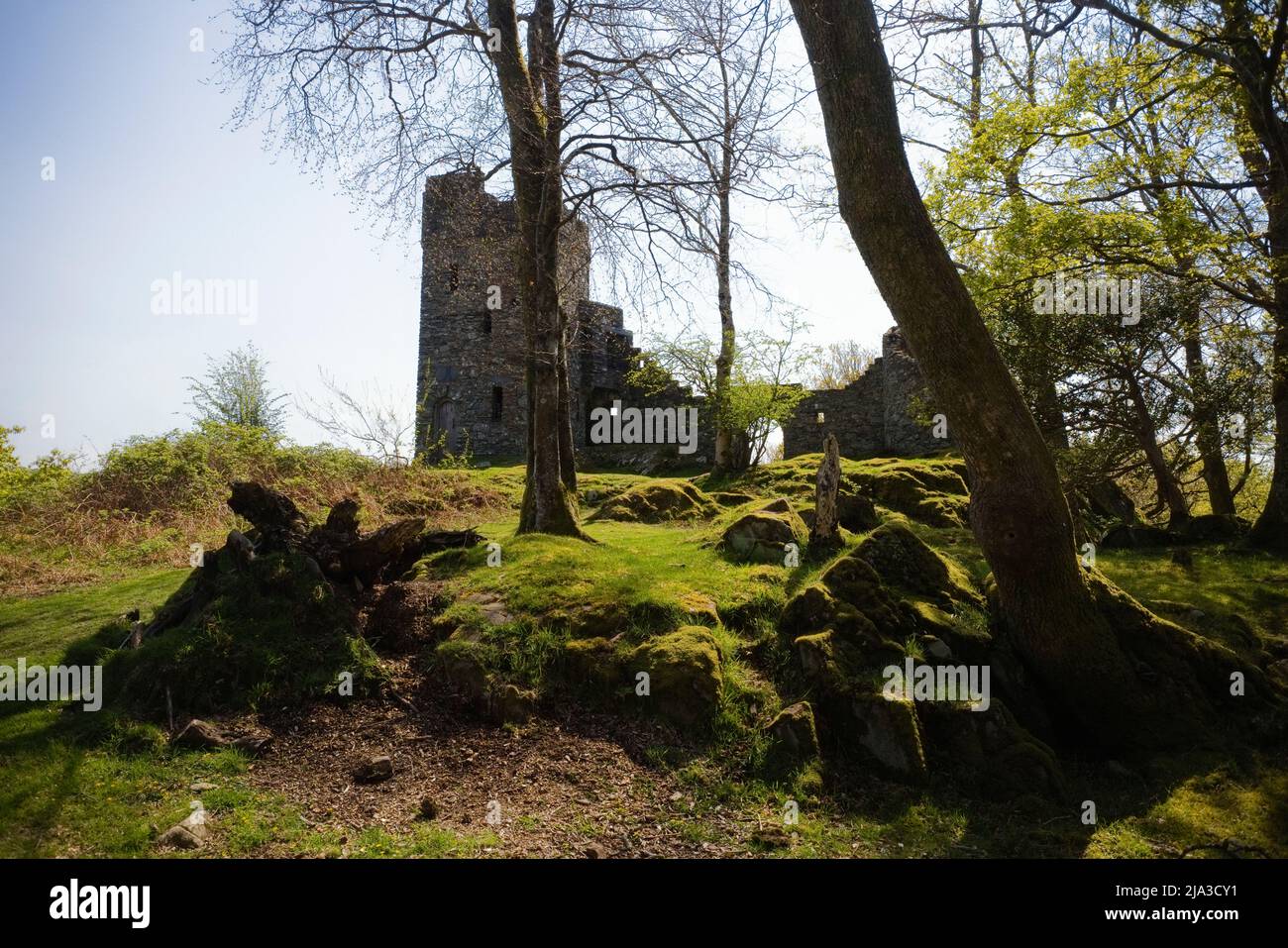 Le faux château de folley à Plas Brondanw dans le nord du pays de Galles Banque D'Images