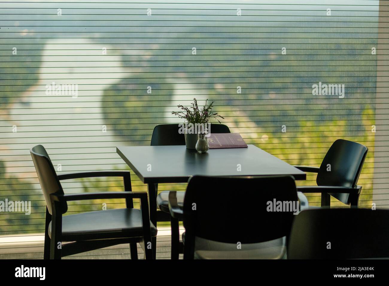 Königswinter, Allemagne- 18 mai 2022 : magnifique vue panoramique sur le Rhin, depuis un restaurant au sommet de la colline de Drachenfels Banque D'Images