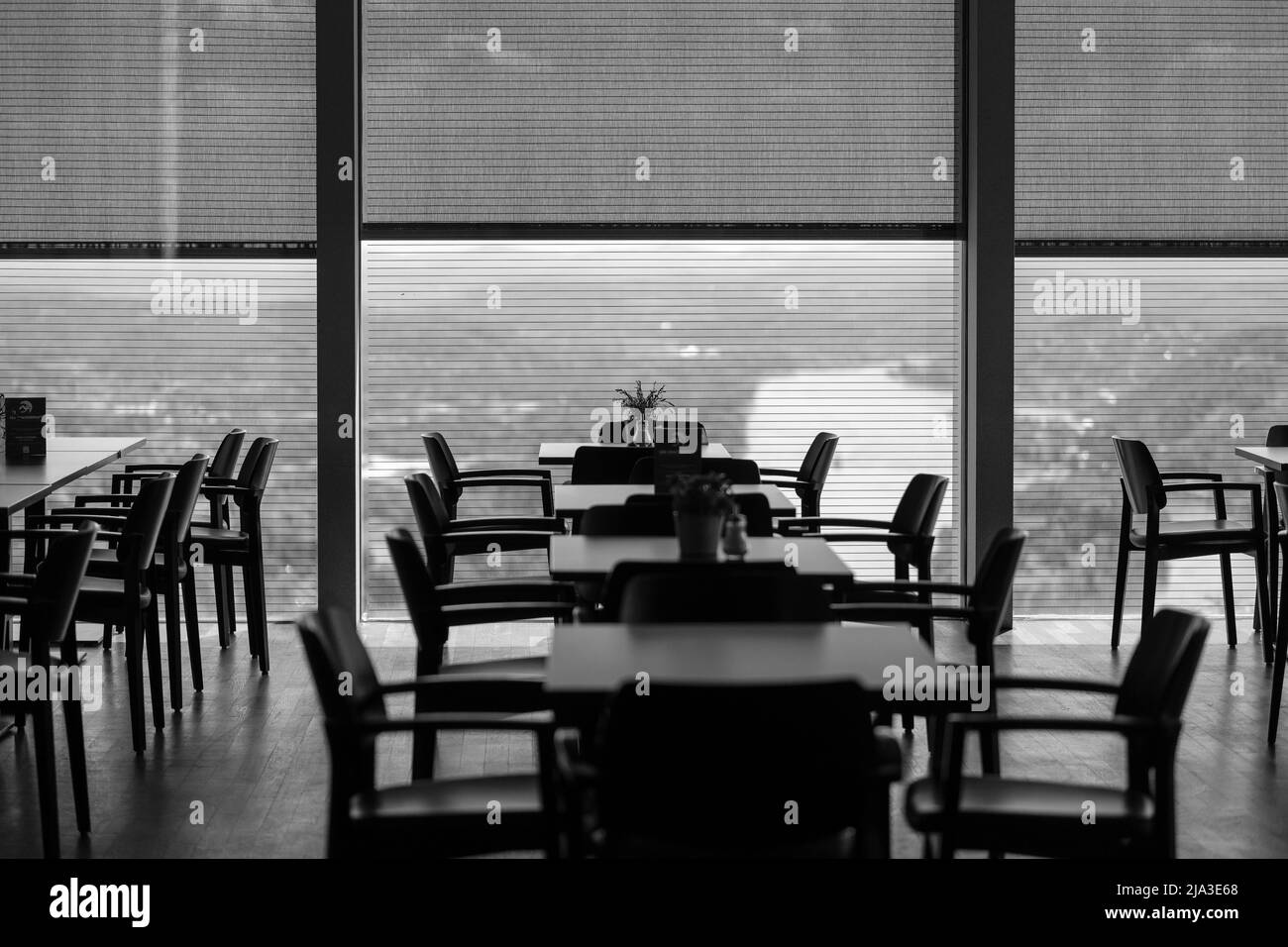 Königswinter, Allemagne- 18 mai 2022 : magnifique vue panoramique sur le Rhin, depuis un restaurant au sommet de la colline à Drachenfels en noir et blanc Banque D'Images