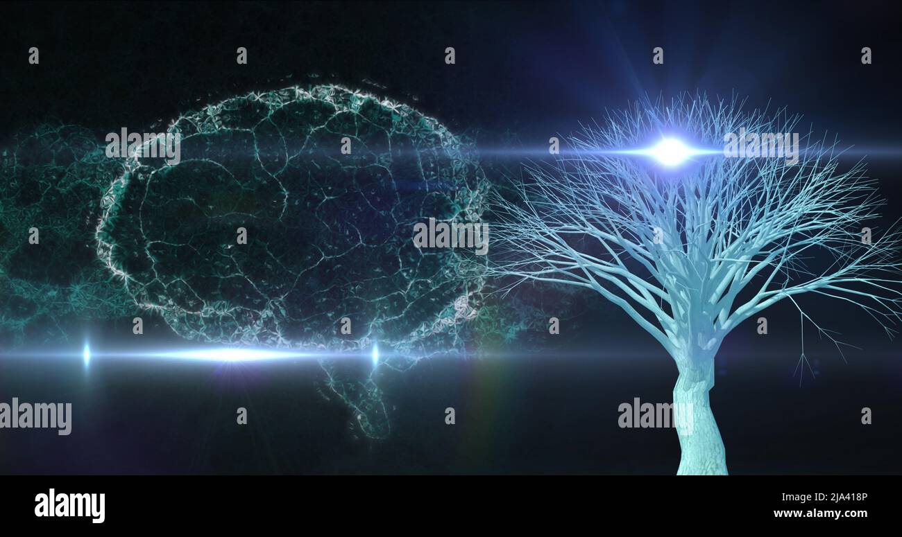 Image du cerveau tournant sur fond noir avec lumières et arbre Banque D'Images