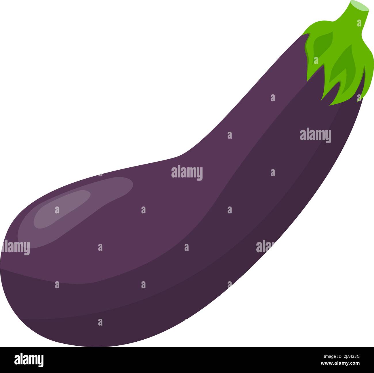 aubergine violette isolée sur fond blanc, illustration vectorielle plate Illustration de Vecteur