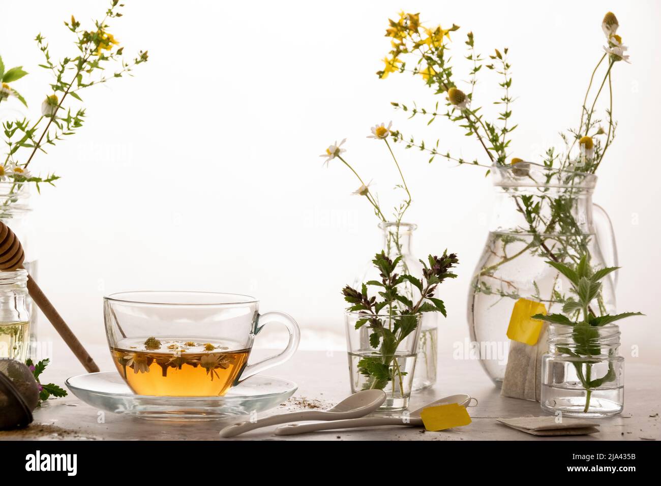 Tisane botanique, boisson saine, ingrédients biologiques Banque D'Images