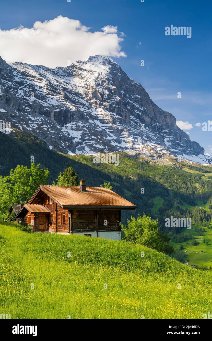 Mont Eiger, Grindelwald, canton de Berne, Suisse Banque D'Images