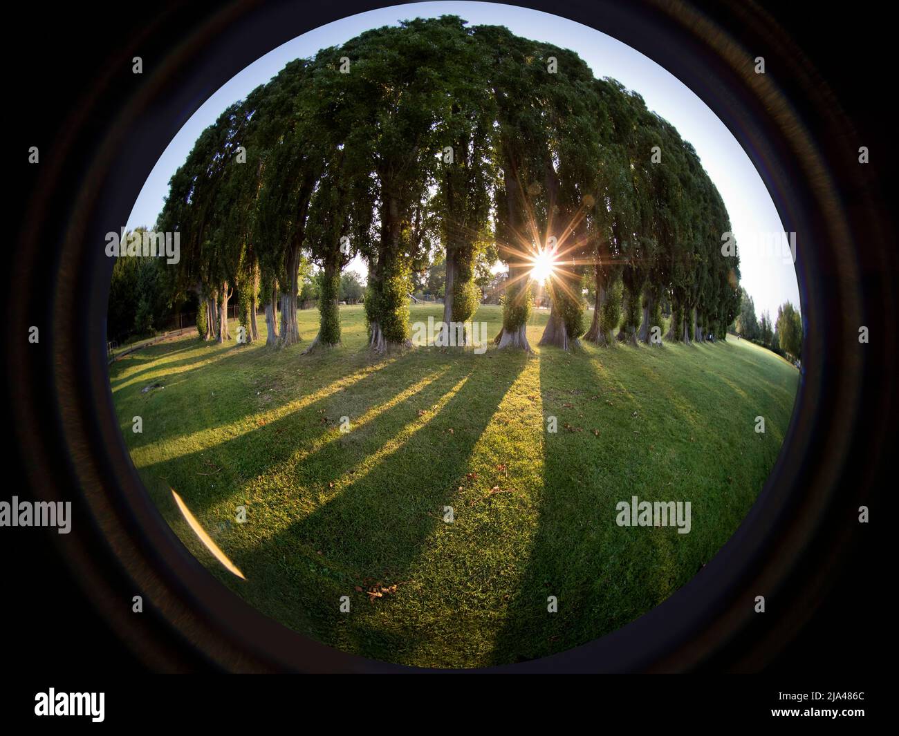 Abbey Fields est un parc public adjacent à la Tamise à Abingdon, dans l'Oxfordshire.Il tire son nom de l'abbaye médiévale - longtemps disparu - qui a utilisé Banque D'Images