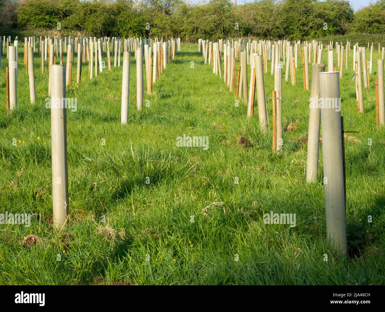 Le réchauffement de la planète et les changements climatiques qui en découlent augmentent la fréquence des phénomènes météorologiques extrêmes dans le monde entier. Au cours du dernier mois, nous avons eu plusieurs M. Banque D'Images