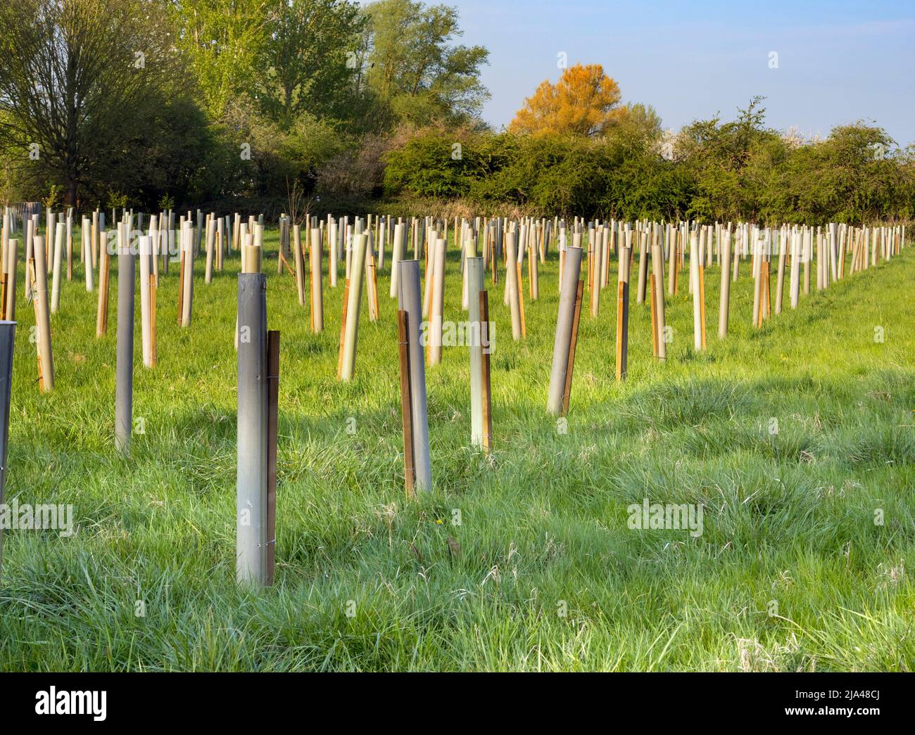 Le réchauffement de la planète et les changements climatiques qui en découlent augmentent la fréquence des phénomènes météorologiques extrêmes dans le monde entier. Au cours du dernier mois, nous avons eu plusieurs M. Banque D'Images